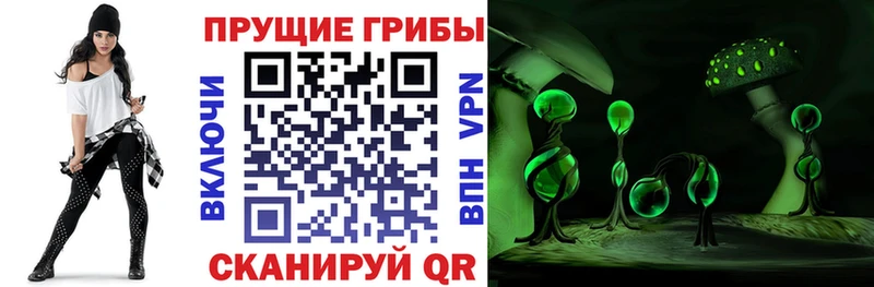 Псилоцибиновые грибы мухоморы  Купить закладки  Сертолово 